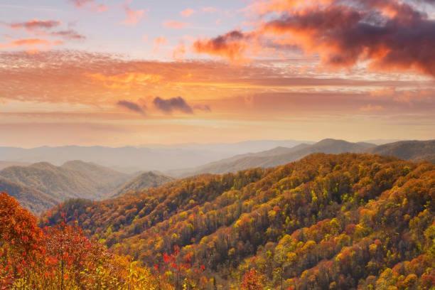Dog Friendly, Romantic Mtn Getaway Hot Tub Pool Gatlinburg Exterior foto